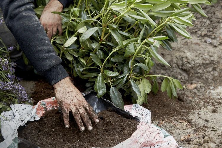 eigen merk potgrond welkoop